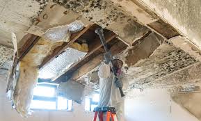 Best Residential Mold Inspection & Testing  in Lindenwold, NJ